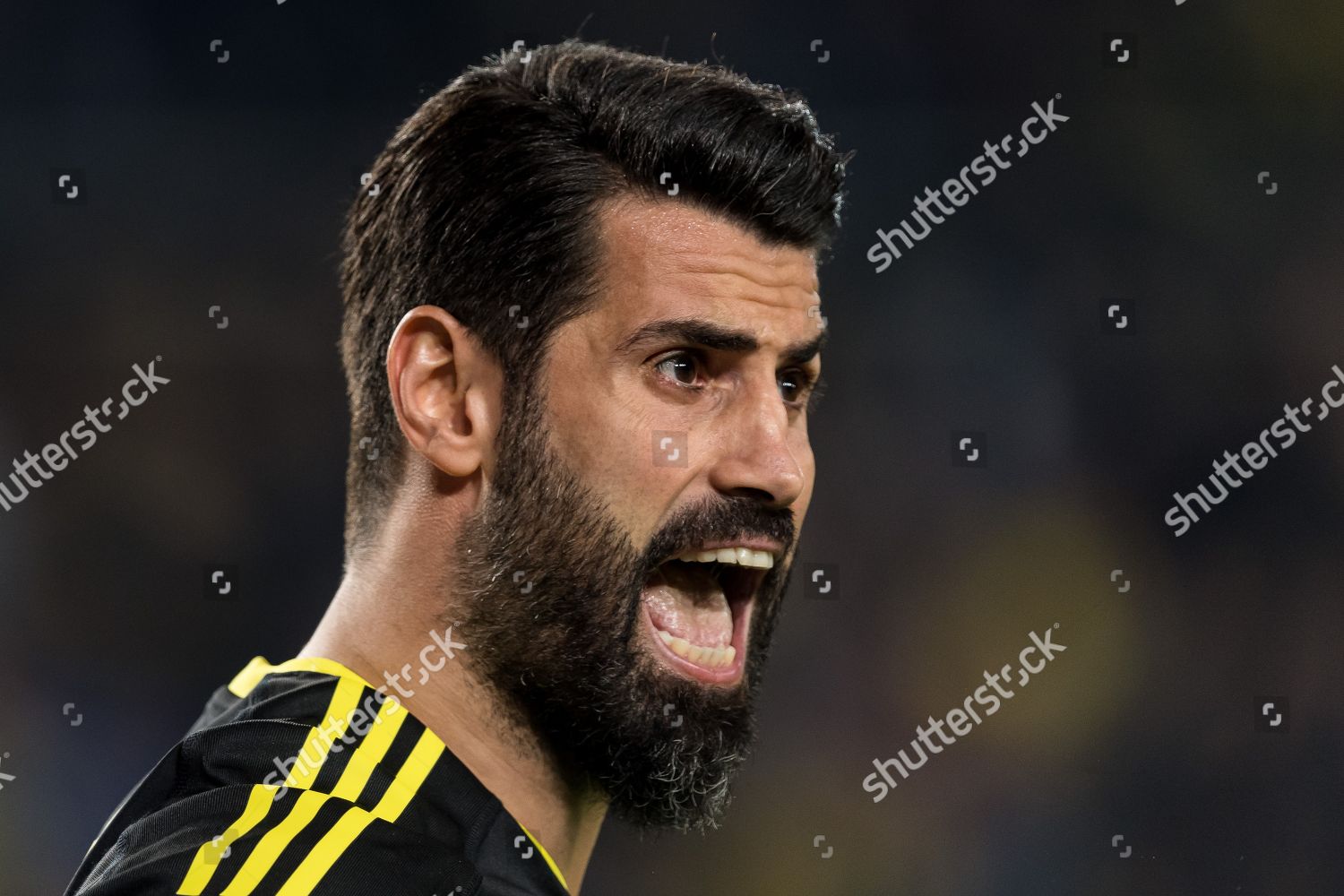 Goalkeeper Volkan Demirel Fenerbahce Sk Editorial Stock Photo Stock