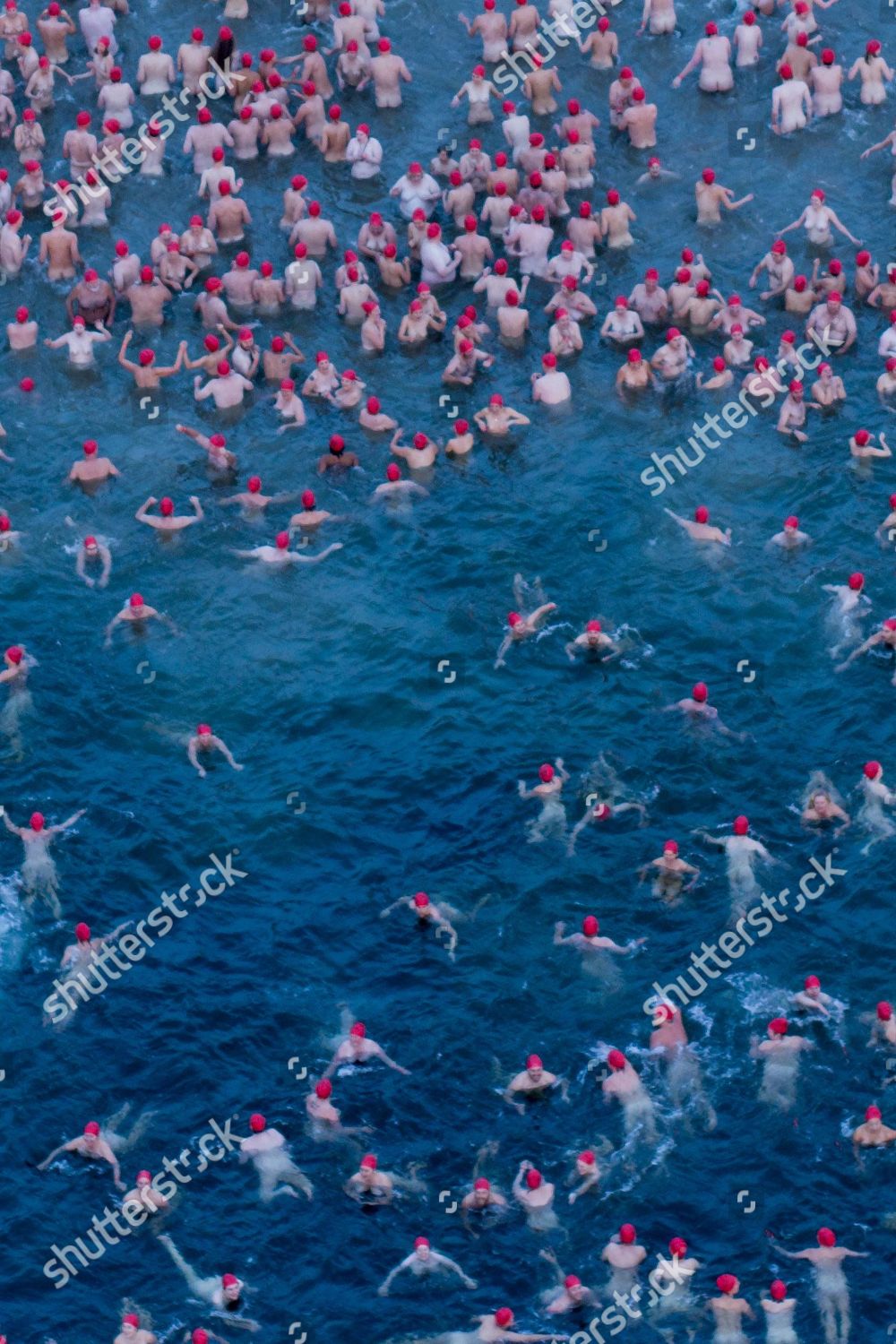 Participants Dark Mofo Nude Solstice Swim Editorial Stock Photo Stock