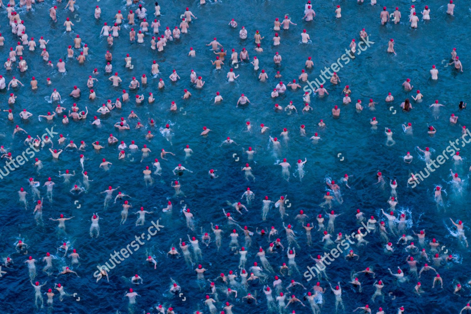 Participants Dark Mofo Nude Solstice Swim Editorial Stock Photo Stock