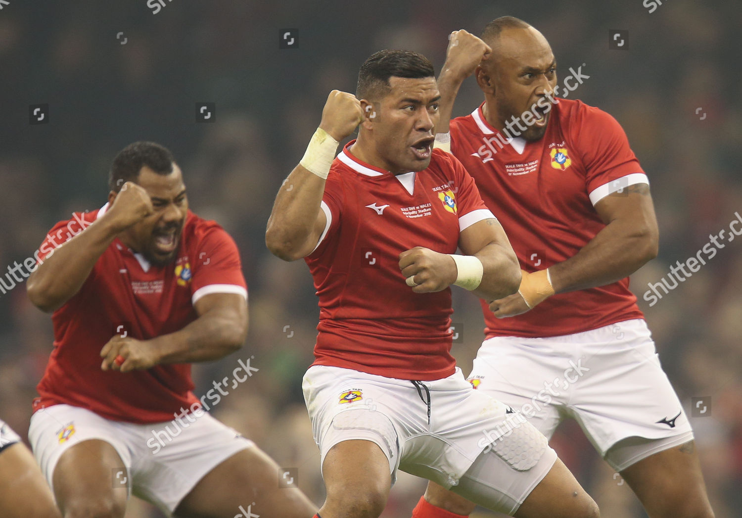 Tonga Perform Sipi Tau Start Match Editorial Stock Photo Stock Image