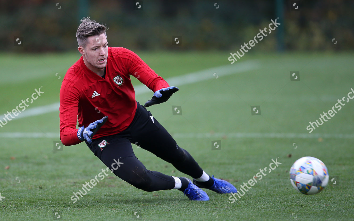 Wayne Hennessy Wales During Training Editorial Stock Photo Stock