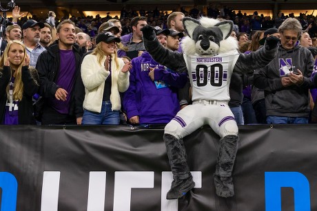 St Northwestern Wildcats Fans Mascot React Editorial Stock Photo ...