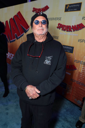 Red Carpet film premiere of Columbia Pictures and Sony Pictures Animation's 'Spider-Man: into the Spider-Verse' at Regency Village Theatre, Los Angeles, USA - 1 Dec 2018