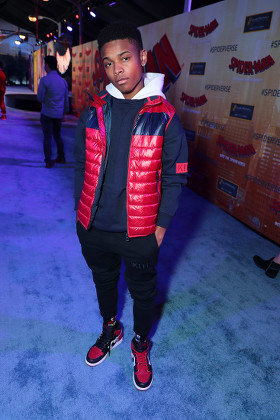 Red Carpet film premiere of Columbia Pictures and Sony Pictures Animation's 'Spider-Man: into the Spider-Verse' at Regency Village Theatre, Los Angeles, USA - 1 Dec 2018