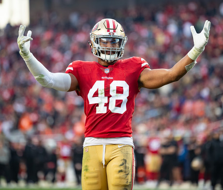 San Francisco 49ers Middle Linebacker Fred Editorial Stock Photo - Stock  Image