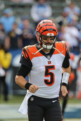 Cincinnati Bengals Quarterback Tom Savage 5 Editorial Stock Photo - Stock  Image