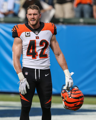 Cincinnati Bengals Defensive Back Clayton Fejedelem Editorial Stock Photo -  Stock Image