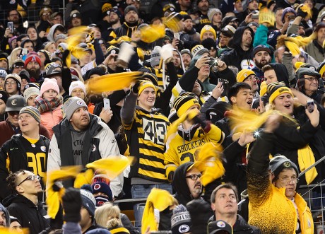 5,026 Pittsburgh Steelers Fans Stock Photos, High-Res Pictures