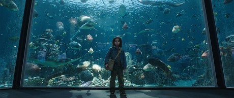 'Aquaman' Film - 2018