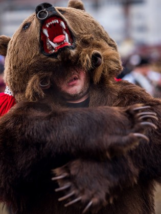 YOUNG WOMAN DRESSED HER BEAR SKIN Editorial Stock Photo - Stock Image ...