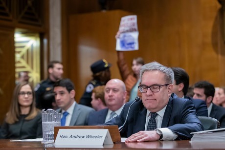Environmental Protection Agency administrator Andrew Wheeler's confirmation hearing, Washington, USA - 16 Jan 2019