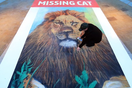 Giant Missing Cat Poster commissioned by National Geographic, Paternoster Square, London, UK - 29 Jan 2019