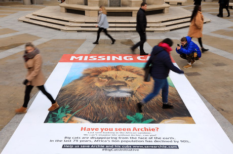 Giant Missing Cat Poster commissioned by National Geographic, Paternoster Square, London, UK - 29 Jan 2019