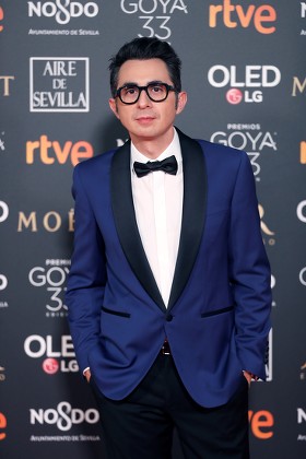 33rd Goya Awards in Seville, Spain - 02 Feb 2019