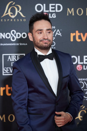 33rd Goya Awards, Sevilla, Spain - 02 Feb 2019