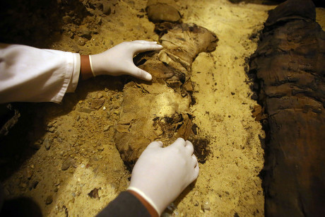 Archaeologist Excavates Mummy Inside Newly Excavated Editorial Stock ...