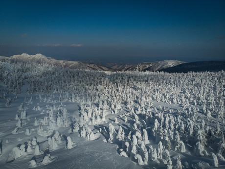 Zao Snow Monsters, Mount Zao, Japan - 06 Feb 2019 Stock Pictures ...