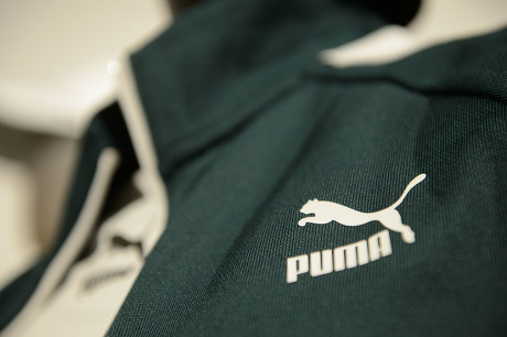 puma 2019 results
