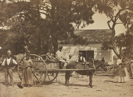 Liberated African American Slaves Horsedrawn Cart Editorial Stock Photo   Shutterstock 10111445a 