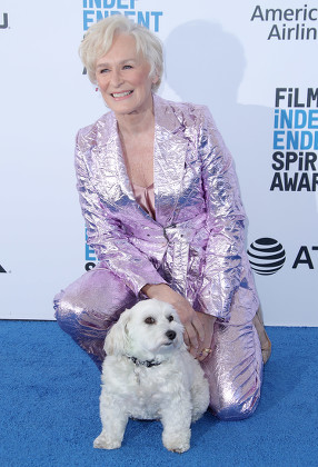 Glenn Close Her Dog Pip Editorial Stock Photo - Stock Image | Shutterstock