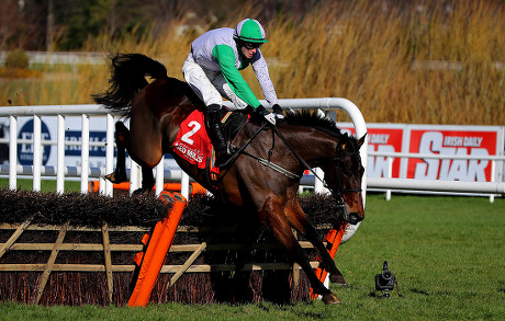 Leopardstown Racing, Leopardstown Racecourse, Dublin - 04 Mar 2019 ...