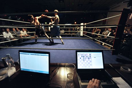 Chess Boxers Tim Woolgar Matt Crazy Editorial Stock Photo - Stock Image