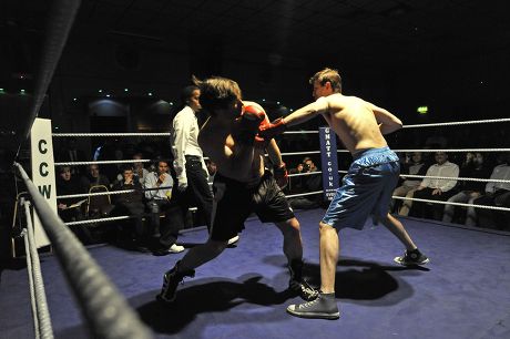 Chess: boxing clever, London Evening Standard
