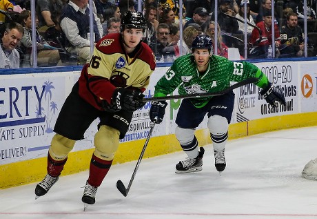 __COUNT__ ECHL GLADIATORS VS ICEMEN, Jacksonville, USA - 30 Mar 2019 ...