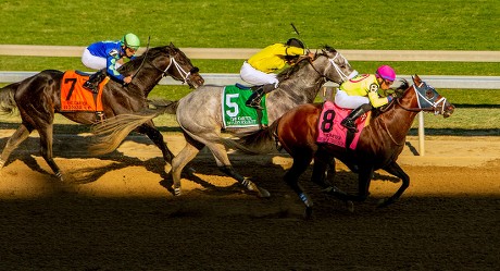 __COUNT__ Horse Racing Wood Memorial Stakes Day, Ozone Park, USA - 06 ...