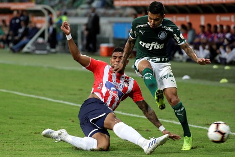 Palmeiras Deyverson R Vies Ball Against Editorial Stock Photo - Stock Image