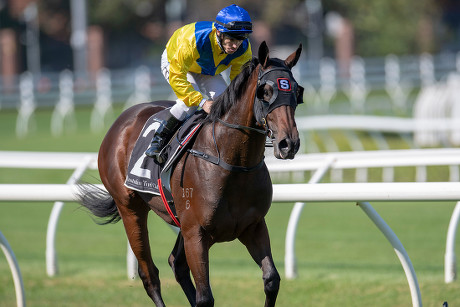 Horse Racing Randwick The Championships, Sydney, USA - 13 Apr 2019