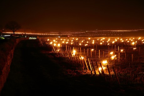 Anti-frost candles used in vineyards, Bourgogne, France - 14 Apr 2019 ...