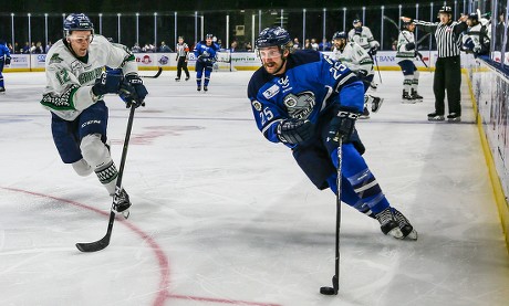 Jacksonville Roller Hockey