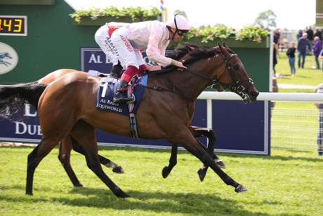 York Races, Dante Festival, Day Two - 16 May 2019