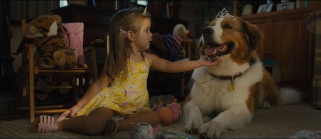 'A Dog's Journey' Film - 2019