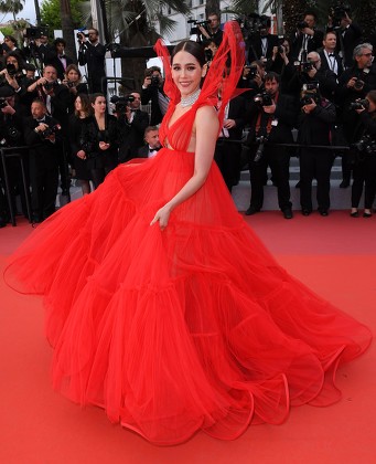 'Pain and Glory' premiere, 72nd Cannes Film Festival, France - 17 May 2019