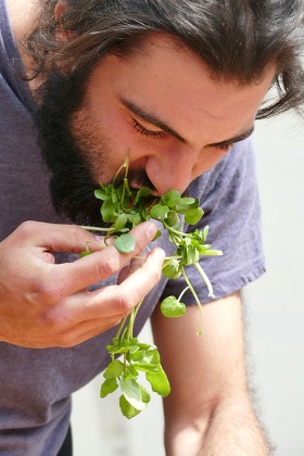 Competitors World Watercress Eating Championships Editorial Stock Photo ...