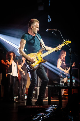 Sting Shaggy Editorial Stock Photo - Stock Image | Shutterstock