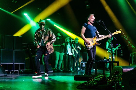 Sting Shaggy Editorial Stock Photo - Stock Image | Shutterstock