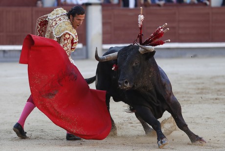 San Isidro Bullfighting Fair, Madrid, Spain - 31 May 2019