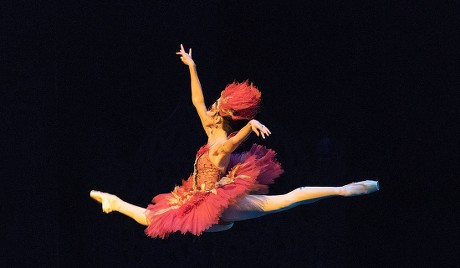 'Firebird' Performed by the Royal Ballet at the Royal Opera House, London, UK, 31 May 2019