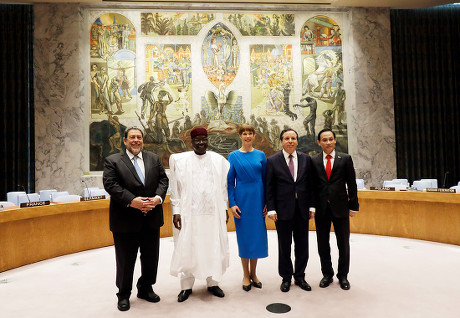 UN Security Council vote, United Nations, USA - 07 Jun 2019
