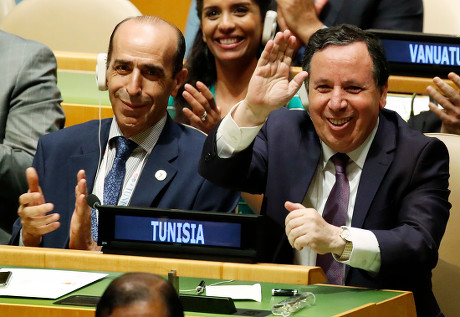 UN Security Council vote, New York, USA - 07 Jun 2019