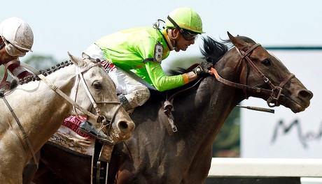 Hog Creek Hustle Corey Lanerie Wins Editorial Stock Photo - Stock Image ...