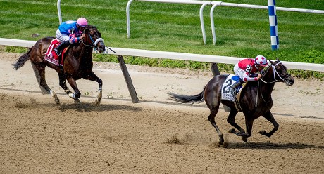 Horse Racing Belmont Stakes Day, Elmont, USA - 08 Jun 2019