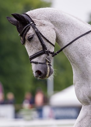 Bramham International Horse Trials, North Yorkshire, UK - 07 Jun 2019
