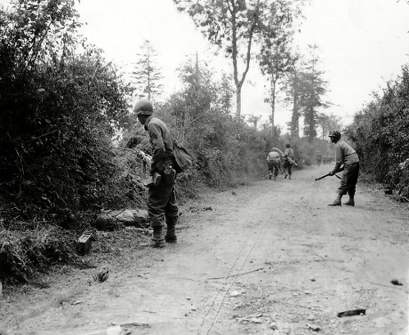 1 Dead bodies of german snipers Stock Pictures, Editorial Images and ...