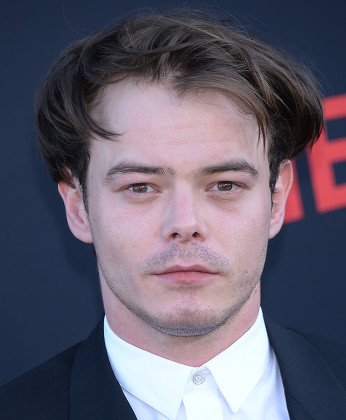 Charlie Heaton Editorial Stock Photo - Stock Image | Shutterstock