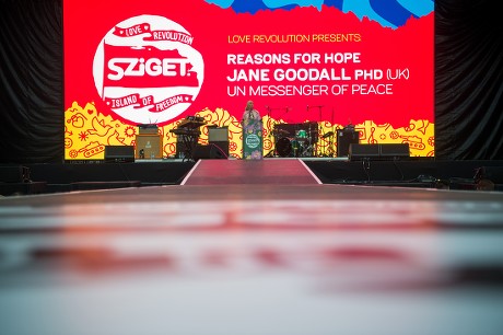 27th Sziget Festival on Shipyard Island, Budapest, Hungary - 08 Aug 2019