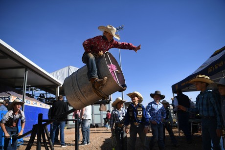 Young Competitors Practice On Bull Riding Editorial Stock Photo - Stock ...